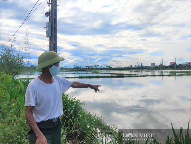 Hà Tĩnh: Ruộng thành sông, hàng nghìn ha lúa chìm trong biển nước - Ảnh 2.