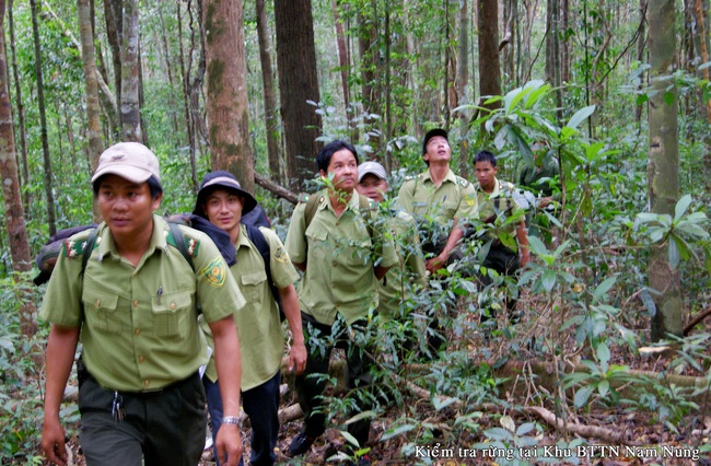 Khu Bảo tồn thiên nhiên Nâm Nung: Gìn giữ “kho báu” đa dạng sinh học  - Ảnh 1.