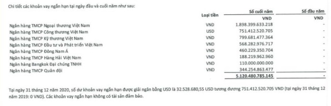 Tin đồn phá sản, cổ phiếu Vietnam Airlines “đỏ sàn”, nhà đầu tư phản ứng gì? - Ảnh 4.