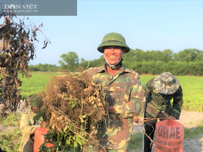 Nắng &quot;như thiêu như đốt&quot;, nông dân Hà Tĩnh vẫn ra đồng làm việc - Ảnh 16.