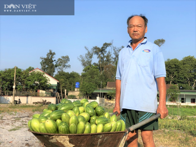 Nắng &quot;như thiêu như đốt&quot;, nông dân Hà Tĩnh vẫn ra đồng làm việc - Ảnh 13.