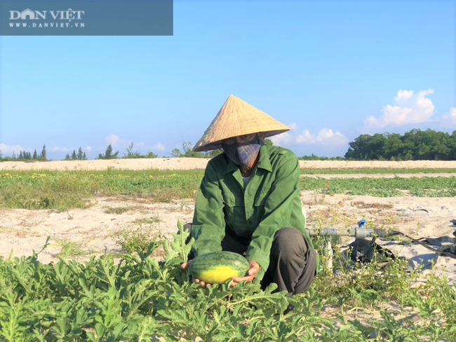 Nắng &quot;như thiêu như đốt&quot;, nông dân Hà Tĩnh vẫn ra đồng làm việc - Ảnh 12.