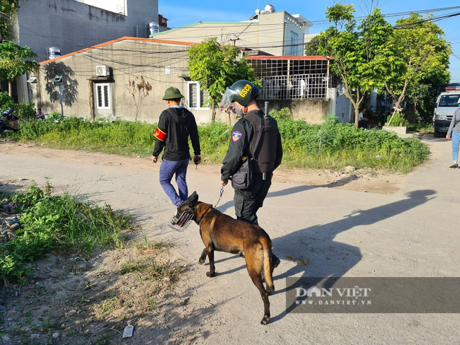 Hải Phòng: Bắt đầu cưỡng chế thu hồi 9,2ha đất quốc phòng bị lấn chiếm - Ảnh 3.