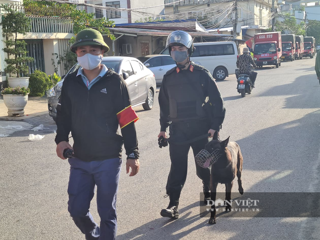 Hải Phòng: Bắt đầu cưỡng chế thu hồi 9,2ha đất quốc phòng bị lấn chiếm - Ảnh 4.