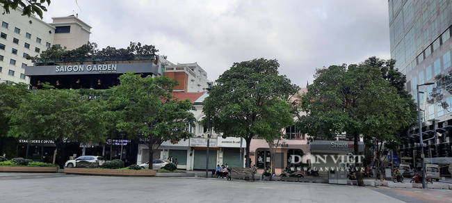 TP.HCM: Chưa phê duyệt tập đoàn Vạn Thịnh Phát là chủ đầu tư khu “đất vàng” hơn 11.000m2 tại phố đi bộ Nguyễn Huệ - Ảnh 1.