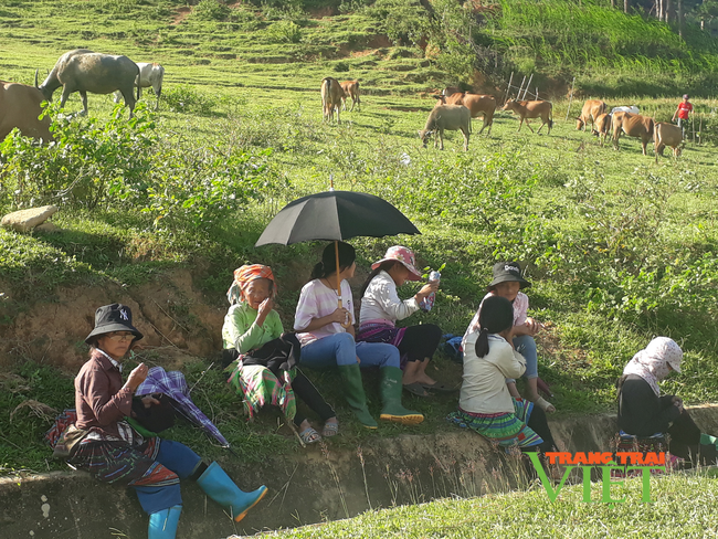 Than Uyên làm gỉ để thúc đẩy sản xuất nông sản hàng hóa tập trung? - Ảnh 1.