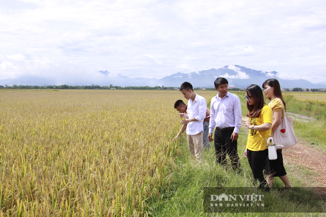 Giá phân bón tăng cao chưa từng có, công ty chứng khoán khuyên nhà đầu tư nên mua cổ phiếu ngành này - Ảnh 3.