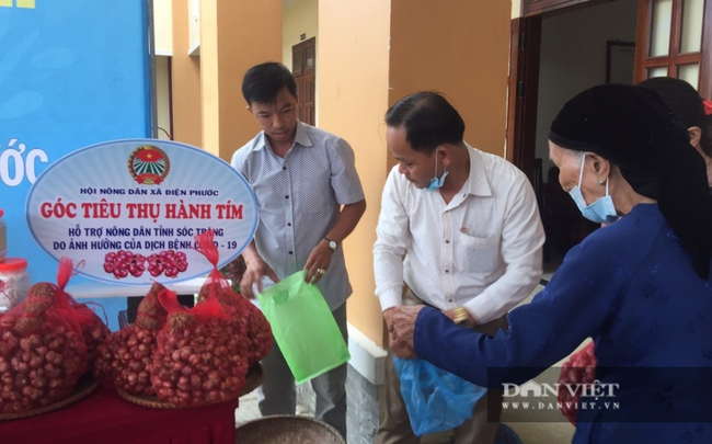 Quảng Nam: Hội Nông dân hỗ trợ tiêu thụ hơn 60 tấn hành tím Sóc Trăng - Ảnh 1.