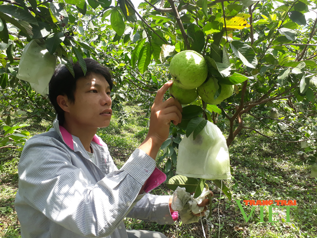 Sôi nổi phong trào nông dân thi đua sản xuất, kinh doanh giỏi ở Tân Uyên - Ảnh 1.