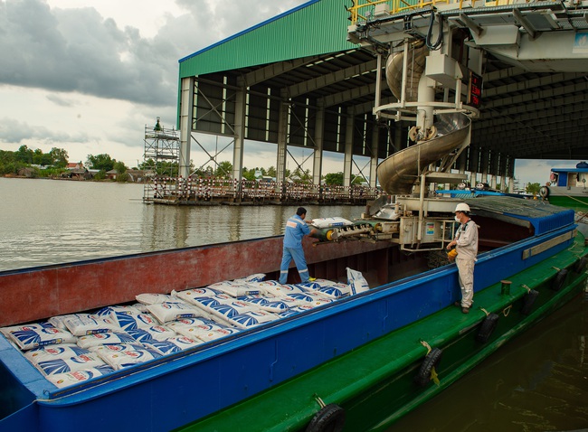 Phân bón Cà Mau chủ động giảm xuất khẩu để tập trung nguồn hàng phục vụ thị trường trong nước - Ảnh 1.