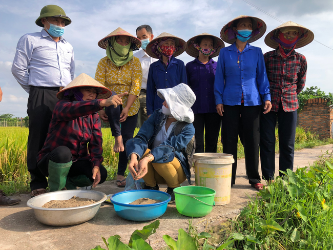 Biến rơm rạ thành phân hữu cơ, nhà nông hưởng lợi kép - Ảnh 1.