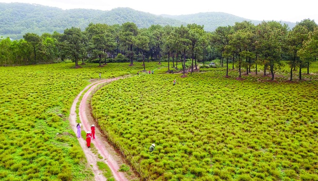 Trên đỉnh Côn Sơn - Ảnh 8.