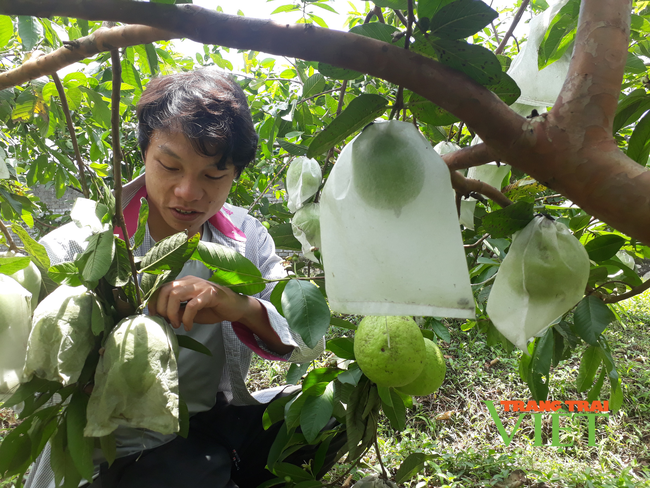 Tân Uyên làm gì để xây dựng sản phẩm OCOP? - Ảnh 2.