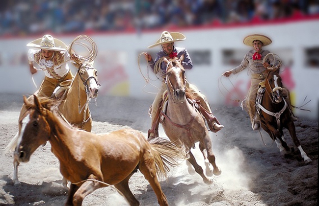 Lối sống truyền thống đầy mê hoặc tại xứ sở của các Caballero - cao bồi Mexico - Ảnh 3.
