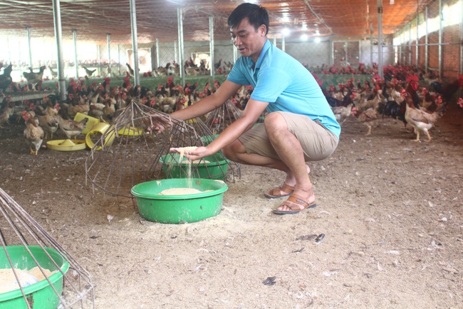 Làm thương hiệu cho gà đồi, miến dong  - Ảnh 1.