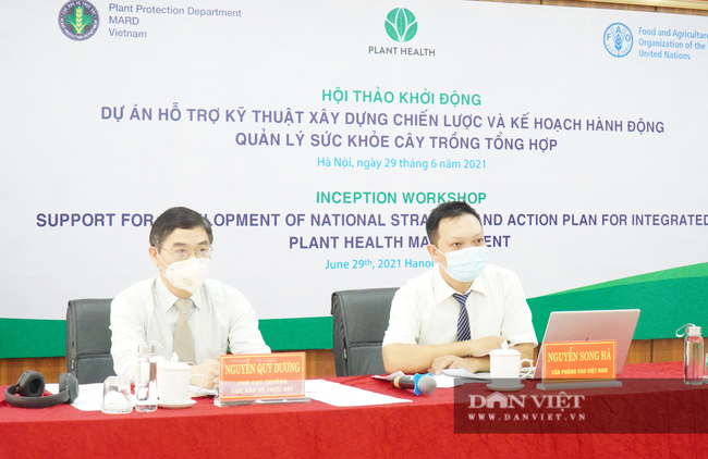 FAO tài trợ 400.000 USD để Việt Nam xây dựng chiến lược quản lý sức khỏe cây trồng tổng hợp - Ảnh 1.