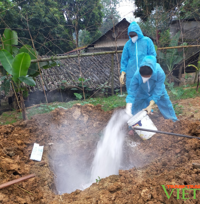 Gặp khó tái đàn lợn: Dịch bệnh, giá thức ăn tăng cao, người chăn nuôi như &quot;một cổ hai tròng&quot; - Ảnh 1.