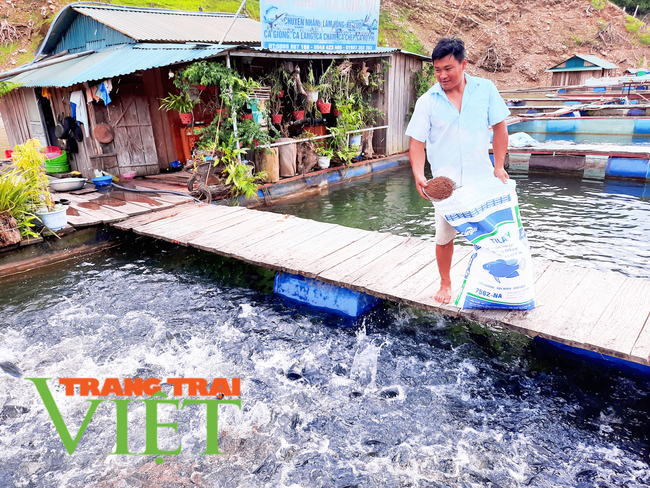 Lai Châu: Xây dựng mô hình kinh tế  hiệu quả ở huyện Nậm Nhùn   - Ảnh 3.