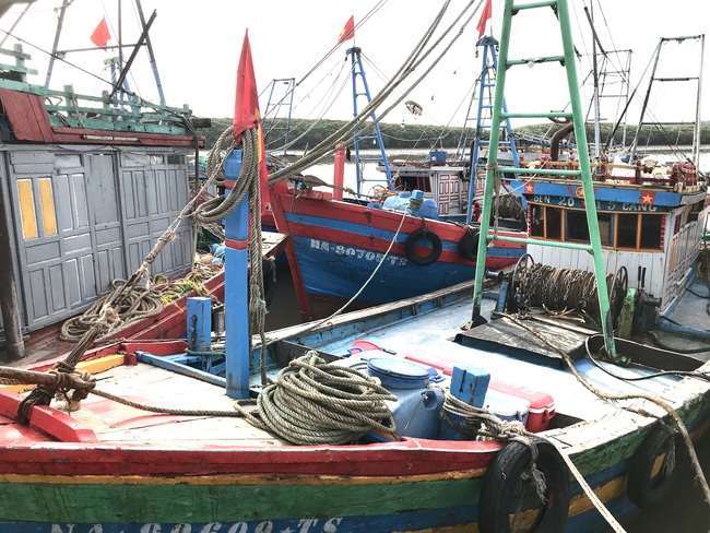 Hàng trăm tàu thuyền ở Nghệ An gác bến vì dịch Covid - 19 - Ảnh 8.