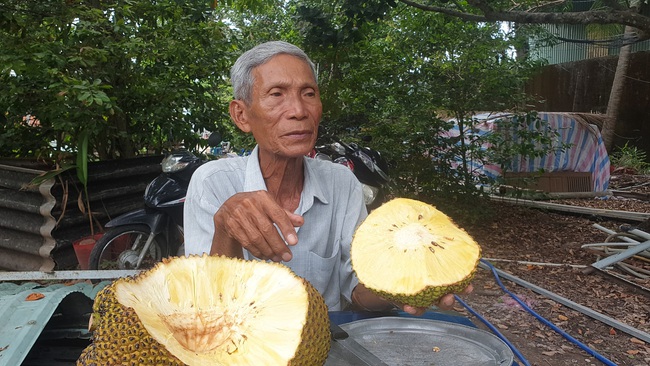 Mít không hạt “vinh danh” lão nông Út Mẫn - Ảnh 3.