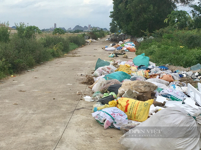 Ninh Bình: Xã về đích nông thôn mới, dân khổ bởi mùi thối của rác thải sinh hoạt - Ảnh 3.