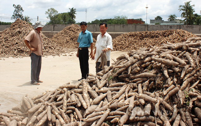 Tây Ninh: Covid-19 gây gián đoạn nguồn cung khiến giá mì trong nước tăng cao - Ảnh 3.