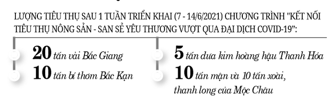 Mô hình kết nối tiêu thụ nông sản của Bộ NNPTNT và 3 đoàn thể: Hướng đến nền nông nghiệp  minh bạch - Ảnh 1.