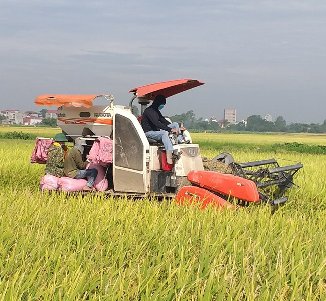 Khi “bão” dịch quét qua làng (kỳ 2): Đồng im ắng, đám tang vắng người - Ảnh 1.