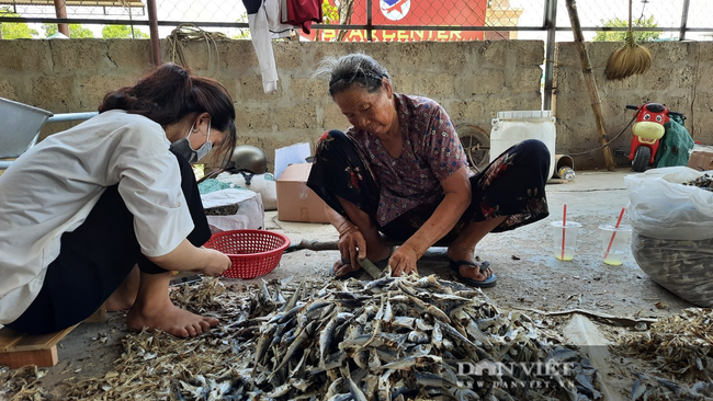 Về những ngôi làng gần 20 năm làm nghề “thích nắng, sợ mưa” - Ảnh 5.