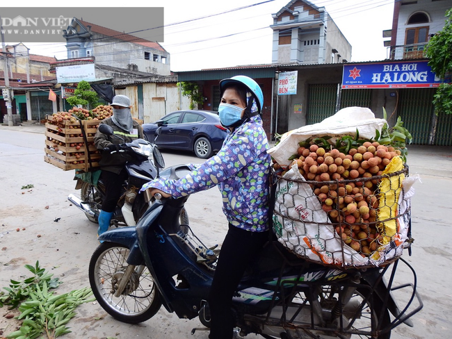 Quảng Ninh: Vải thiều rớt giá, thương lái khó vào tỉnh thu mua - Ảnh 1.