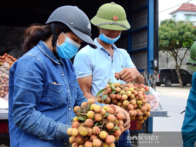 Quảng Ninh: Vải thiều rớt giá, thương lái khó vào tỉnh thu mua - Ảnh 2.