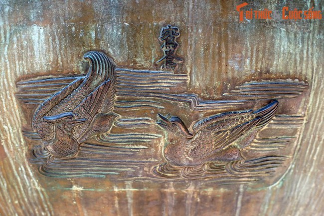 Điểm danh 9 loài chim được khắc trên Cửu Đỉnh nhà Nguyễn - Ảnh 5.
