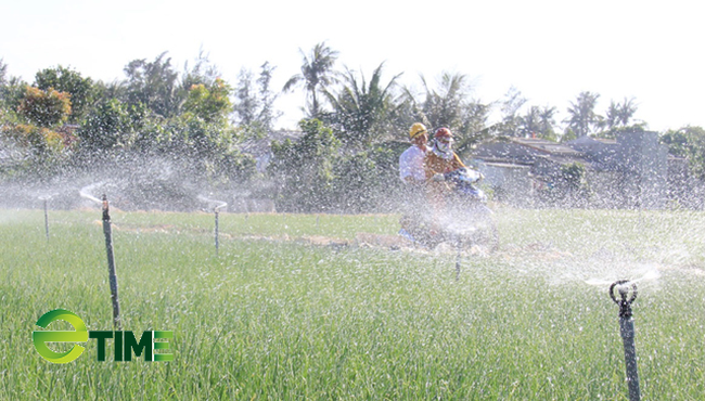 Quảng Ngãi: Giải pháp cấp nước ngọt cho Lý Sơn khi du lịch phát triển tăng tốc  - Ảnh 6.