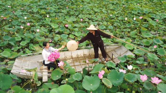 Ninh Bình: Cho phép hoạt động các khu, điểm du lịch kể từ 0h00 ngày 3/7 - Ảnh 1.