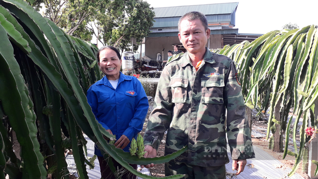 Thái Nguyên: Cặp vợ chồng người dân tộc trồng cây ra cành xum xuê, trái chín đỏ au mỗi năm thu vài trăm triệu - Ảnh 2.