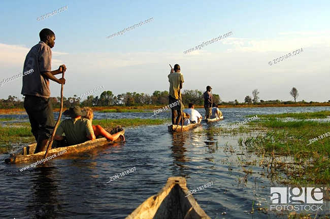 Botswana: Tour Safari nước độc lạ với thuyền độc mộc Mokoro của bộ lạc Bayei - Ảnh 6.