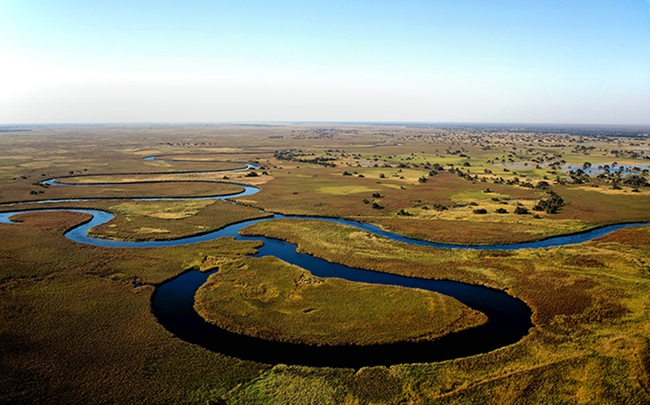 Botswana: Tour Safari nước độc lạ với thuyền độc mộc Mokoro của bộ lạc Bayei - Ảnh 2.