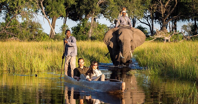 Botswana: Tour Safari nước độc lạ với thuyền độc mộc Mokoro của bộ lạc Bayei - Ảnh 8.