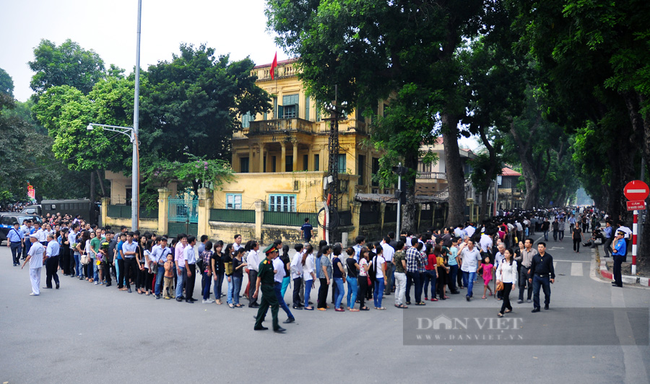 Những phố cây &quot;rợp mát&quot; đời tôi - Ảnh 1.