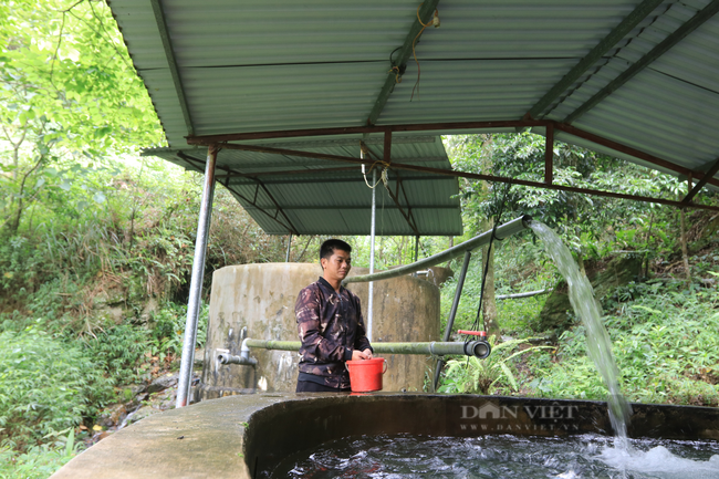 Chàng trai người Dao chăn cá trên núi phát triển cộng đồng - Ảnh 1.