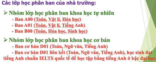 Lần đầu tiên Hà Nội có trường công lập liên cấp chất lượng cao  - Ảnh 2.