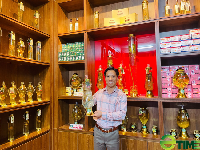 Quảng Nam: Công ty Sâm Việt Linh được lập thủ tục thuê môi trường rừng để trồng cây “Quốc bảo” - Ảnh 1.