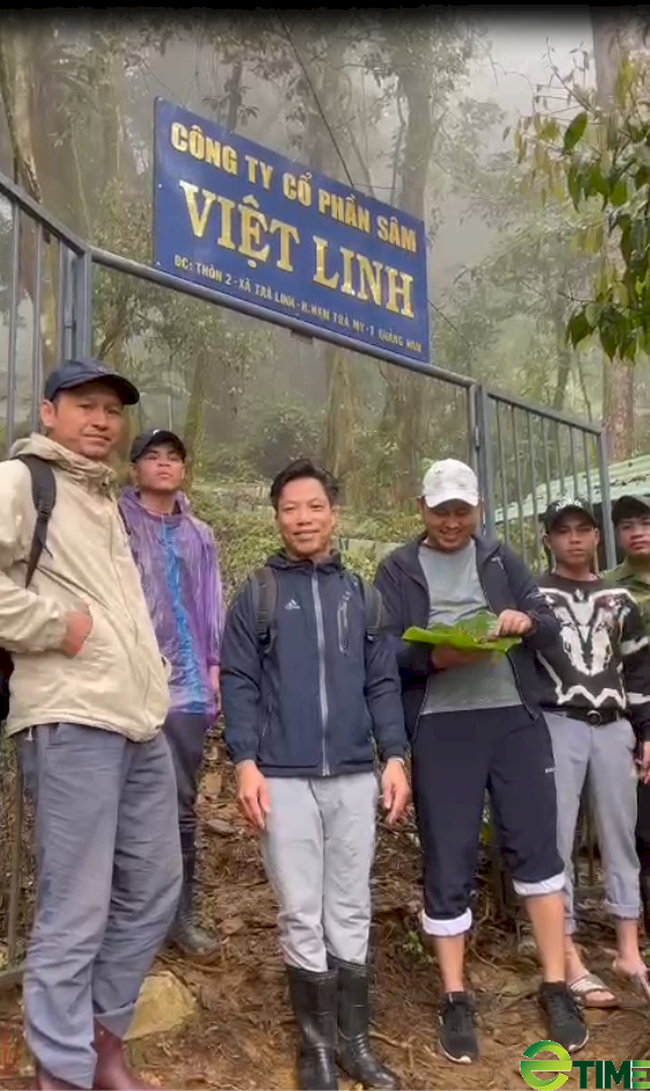 Quảng Nam: Công ty Sâm Việt Linh được lập thủ tục thuê môi trường rừng để trồng cây “Quốc bảo” - Ảnh 2.
