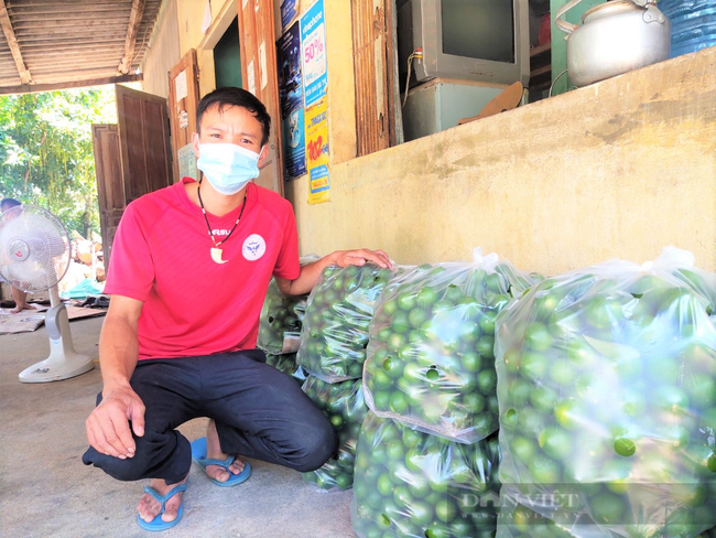 Dịch bệnh phức tạp, nông dân trồng chanh Hà Tĩnh &quot;đứng ngồi không yên&quot; - Ảnh 8.