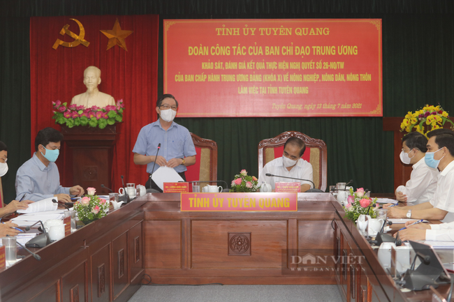 13 năm thực hiện Nghị quyết 26: Nhiều đột phá trong nông nghiệp, nông dân, nông thôn ở Tuyên Quang - Ảnh 1.