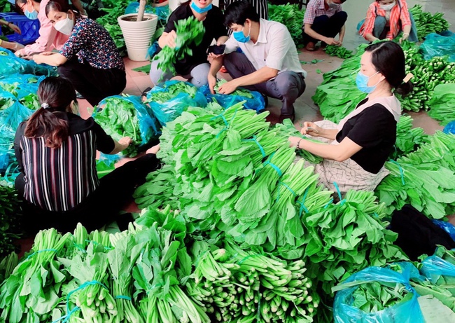 Sở NNPTNT tỉnh Đồng Nai tặng 10 tấn rau củ, 10.000 trứng gà cho TP.HCM - Ảnh 4.