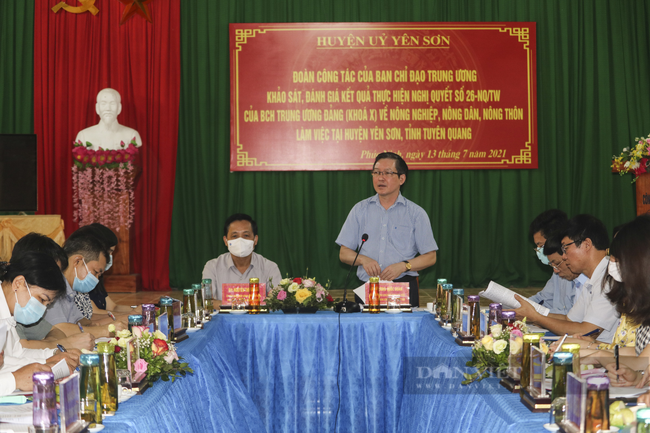 13 năm thực hiện Nghị quyết 26: Nhiều đột phá trong nông nghiệp, nông dân, nông thôn ở Tuyên Quang - Ảnh 5.