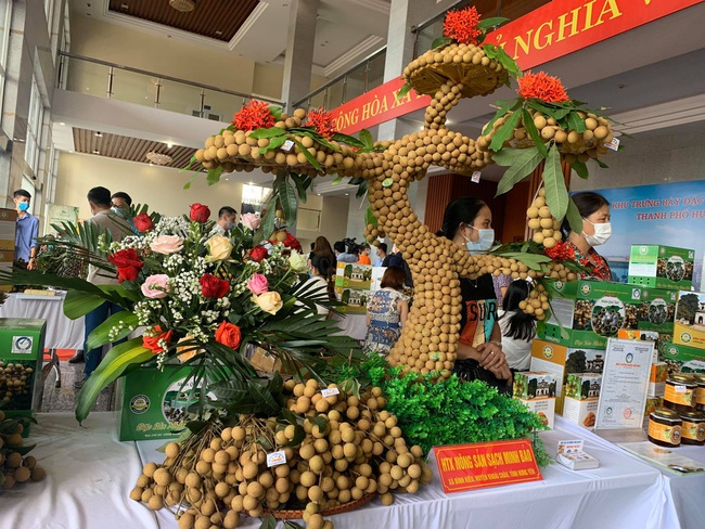 Hưng Yên đưa 1 trong 50 loại trái cây ngon nhất Việt Nam lên đường sang Mỹ, EU - Ảnh 3.