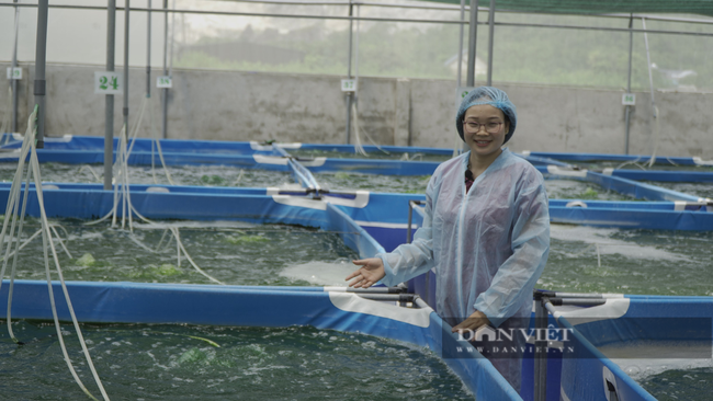 Ninh Bình: Cô giáo trồng vi tảo “thần kỳ”, chất lượng vượt cả Mỹ, cho thu nhập khủng. - Ảnh 2.