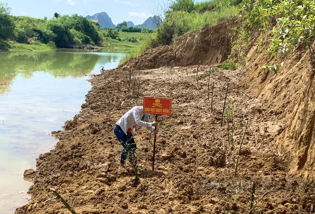 Quảng Bình: Khai quật hơn 6 khúc gỗ sưa ở thượng nguồn sông Son - Ảnh 3.